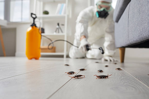 Trusted Cockroach Control service in Carbonville, UT - Nex Pest Control