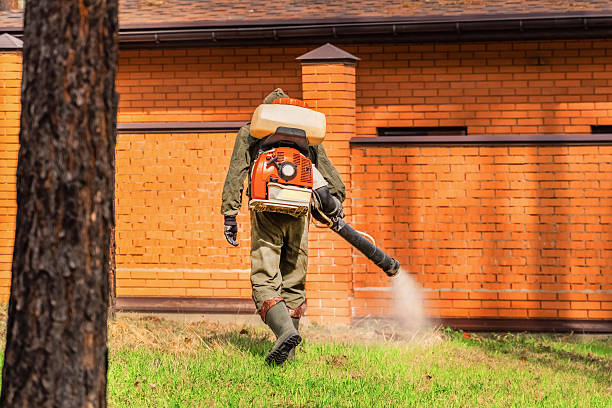 Trusted Termite Control service in Carbonville, UT - Nex Pest Control